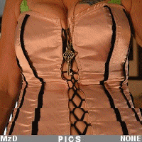 MzDominica - File Descriptions/MzDominica - File Descriptions/Dance in a PINK Corset 3-Pack.gif